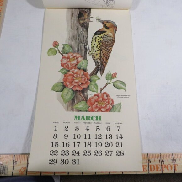 Bird Calendar W/ COLOR SHEET ON REVERSE SIDE Vintage 1981 Collectable LIKE NEW - Picture 7 of 17